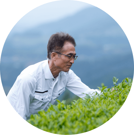 チーム茶の菓