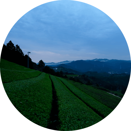 茶源郷
