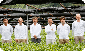 茶葉を育てる