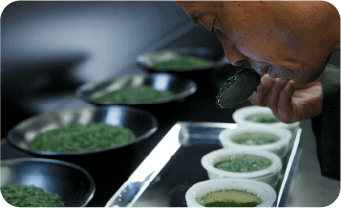茶葉を見極める「茶鑑定」