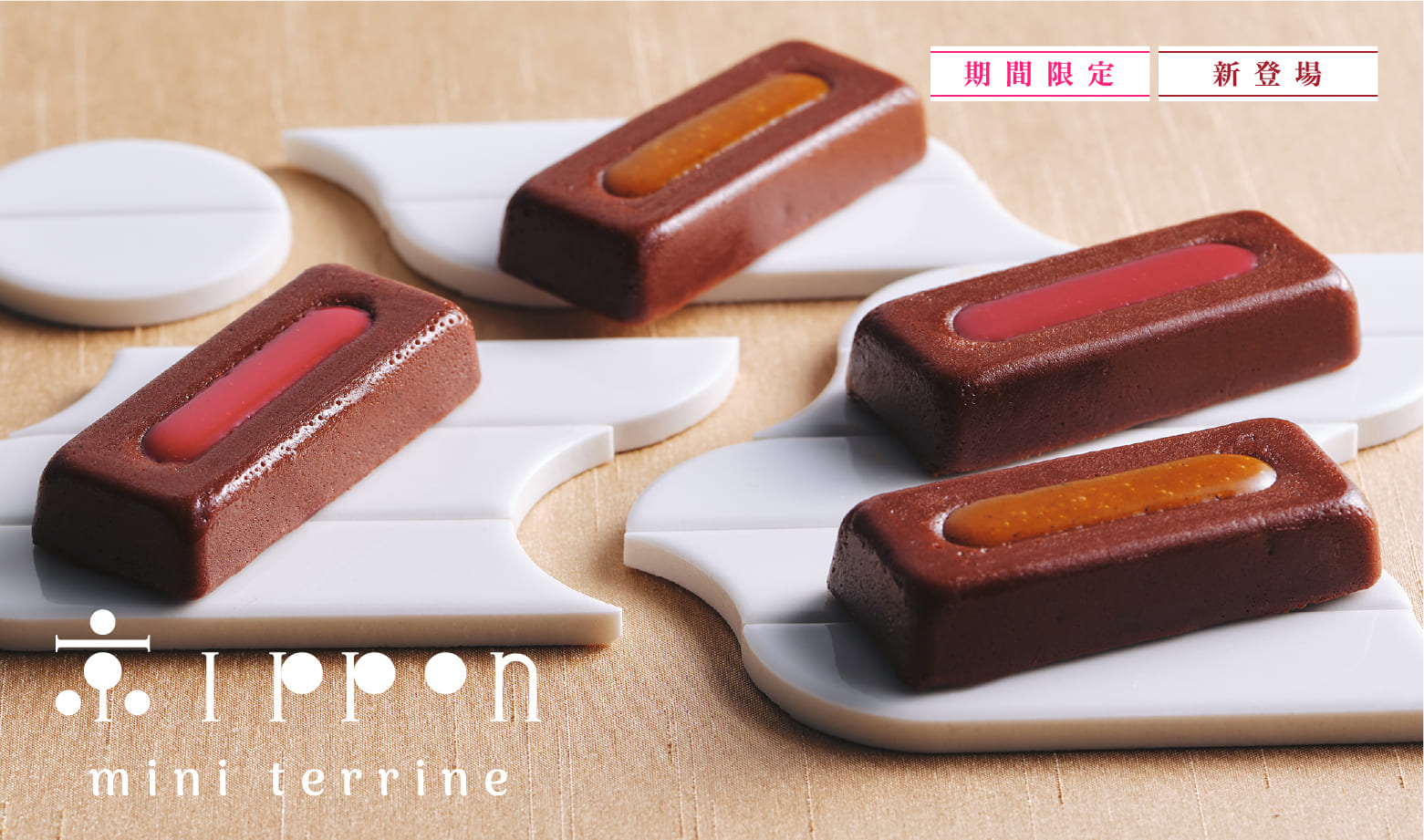 ミニテリーヌ 京ippon