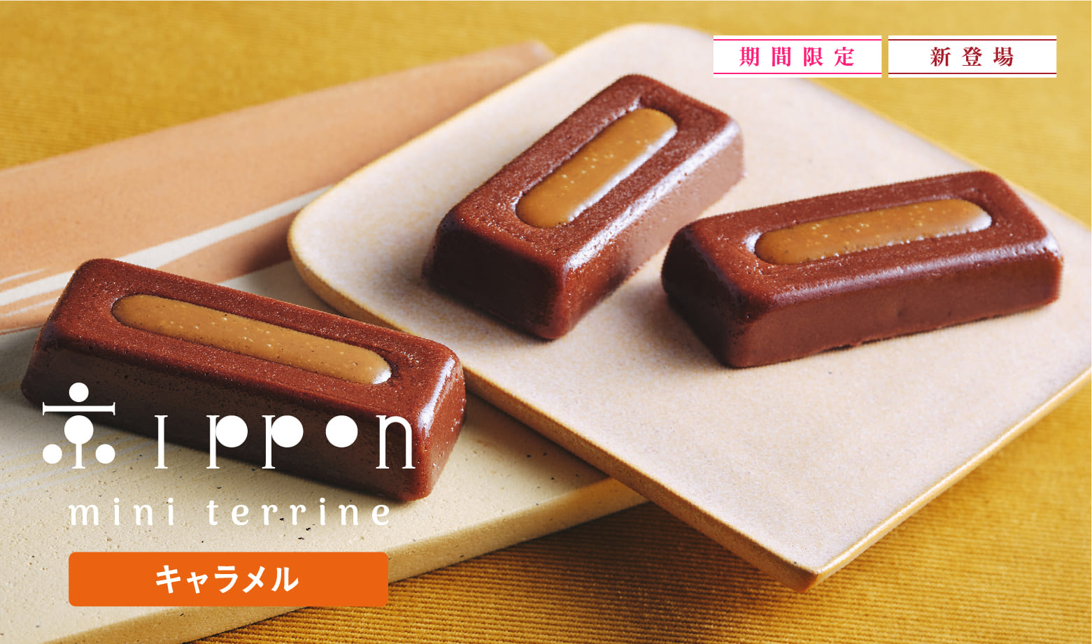 ミニテリーヌ 京ippon キャラメル