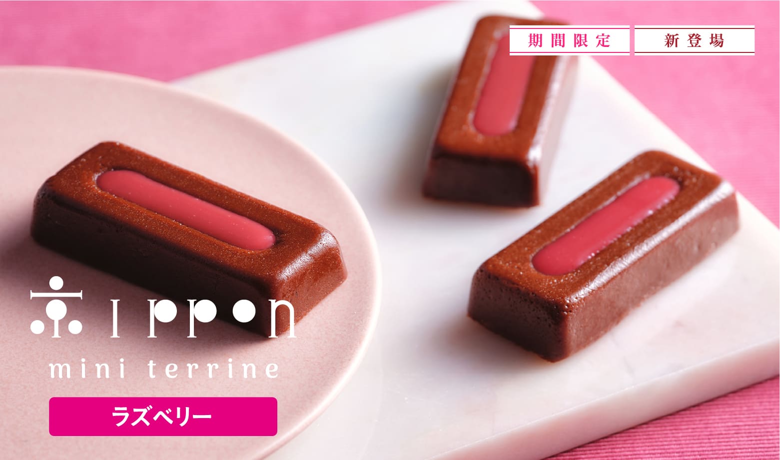 ミニテリーヌ 京ippon ラズベリー